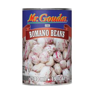 MR GOUDAS CANS ROMANO BEANS  15232